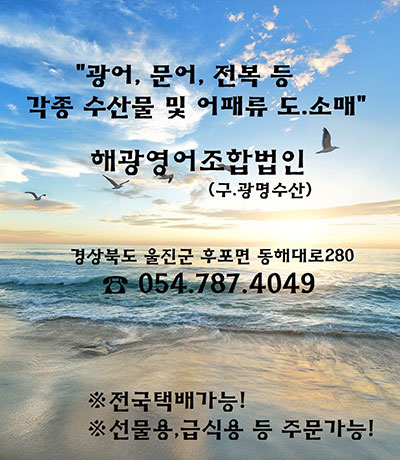 배너