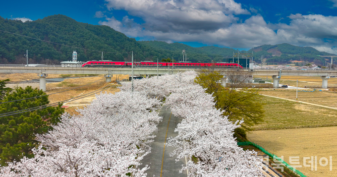▲ “여행은 머무는 것”울진 체류형 관광 선언(동해선 타고 울진으로)5